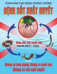 cách phòng bệnh sốt xuất huyết